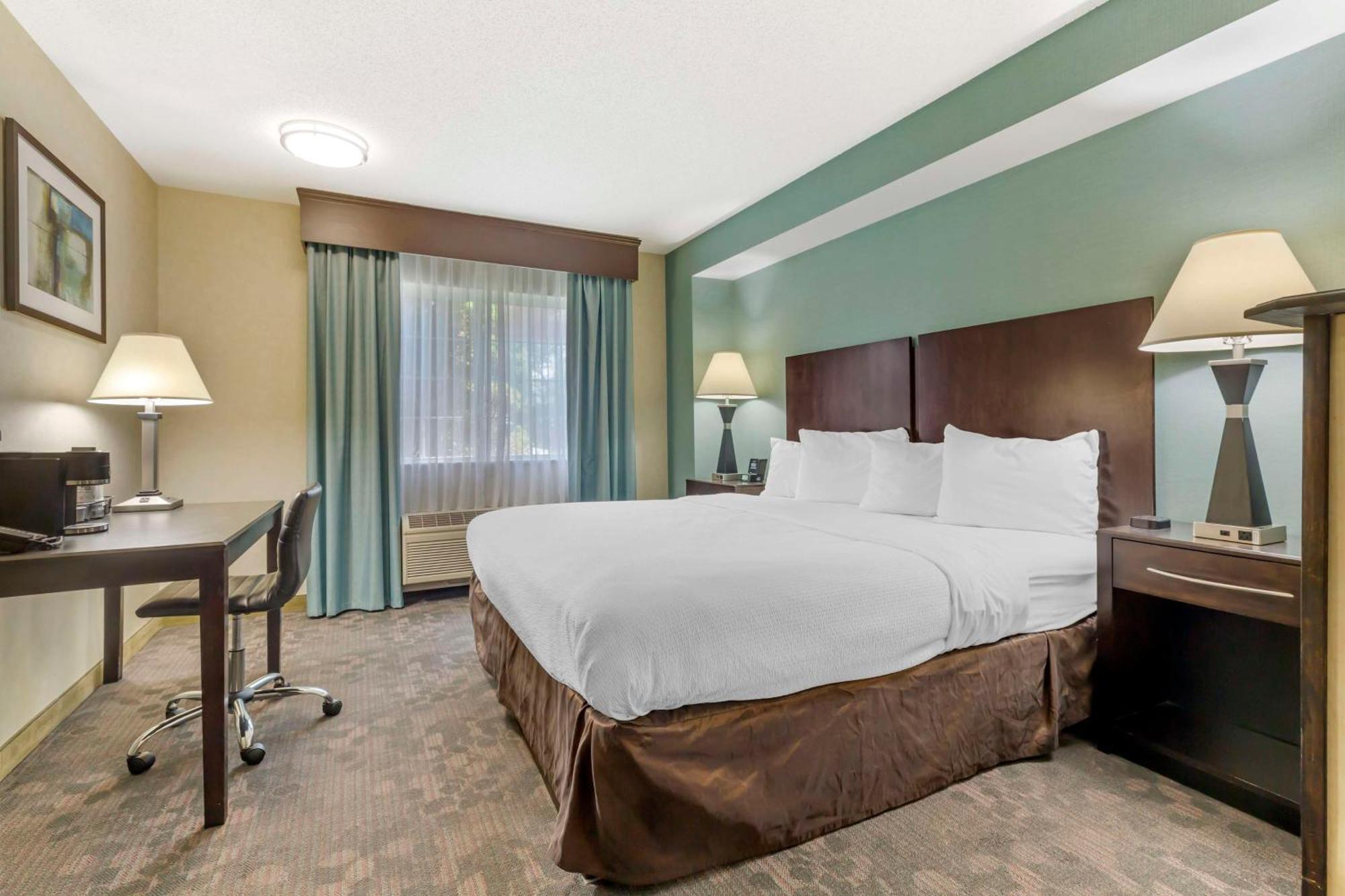 Best Western Plus Berkshire Hills Inn & Suites Pittsfield Exterior photo